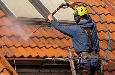 Démoussage et hydrofuge de toiture à Poisat